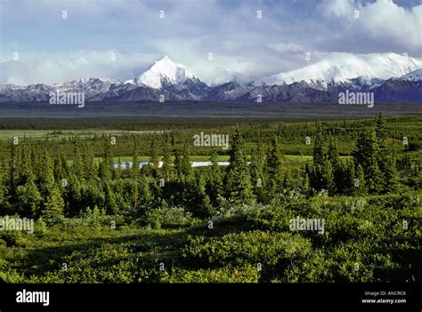 Taiga High Resolution Stock Photography And Images Alamy