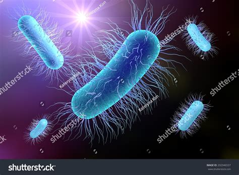 Microscopic View Of Escherichia Coli Salmonella Enteric Bacteria On