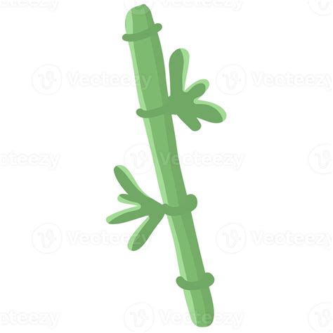 Bamboo Plant Illustration 34916460 Png