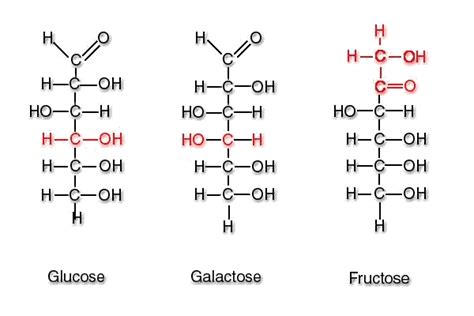 8 Galactose Structure Glucose Structureofgalactose3