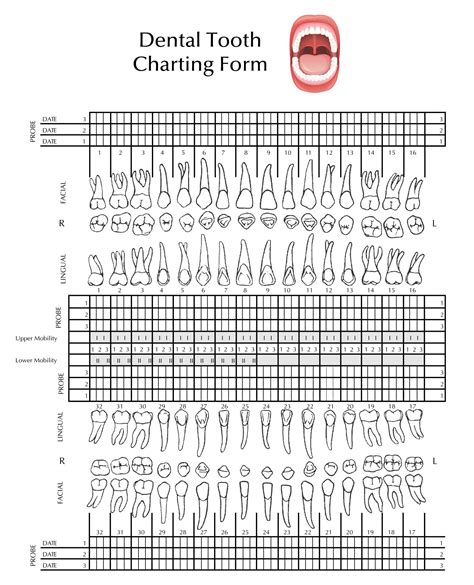 Printable Dental Charting Forms Printable Forms Free Online