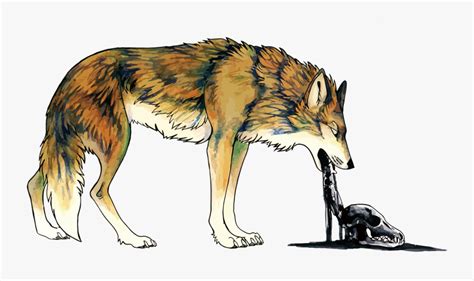 Dog vomiting is a major physical symptom that affects all animals at one point or another. Coyote Dog Vomiting Illustration - Coyote Illustration ...