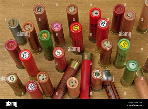 A Selection Of Vintage 410 Shotgun Cartridges Stock Photo Alamy