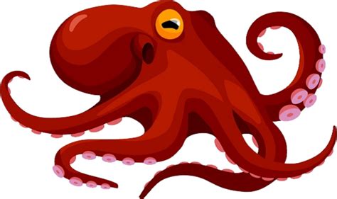 Octopus Vector Hd Png 5 Png 6571 Free Png Images Starpng