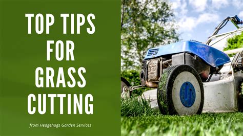 Tips For Grass Cutting Hedgehogs Garden Supplies And Services