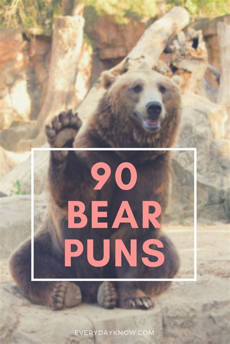 90 Bear Puns Bear Puns Bear Jokes Puns