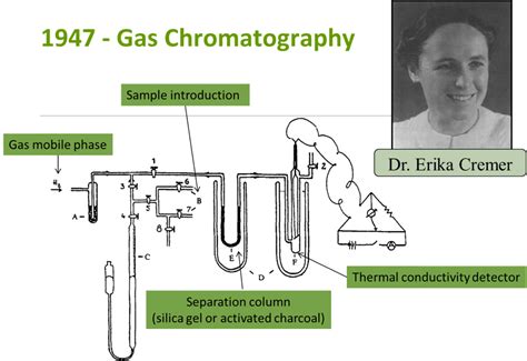 Fatty Acid Determination Using Gas Chromatography David Campbell