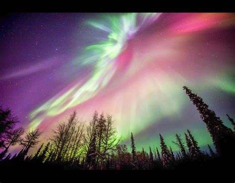 The Northern Lights Illuminate The Night Sky In The North Pole Alaska