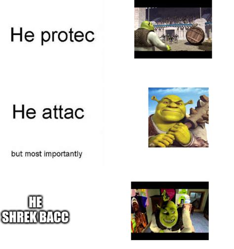 He Protec He Attac Meme Shrek By Theshrexyogre On Deviantart