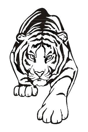 Pin by Vladimir on Рисунки для тиснения Tiger drawing stencil