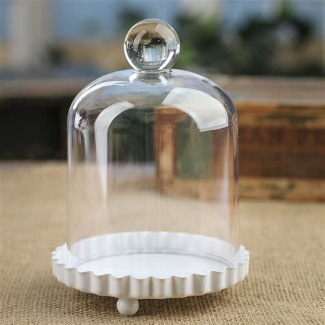 Shop.alwaysreview.com has been visited by 1m+ users in the past month Acrylic Dome Cloche with Metal Base - Decorative ...