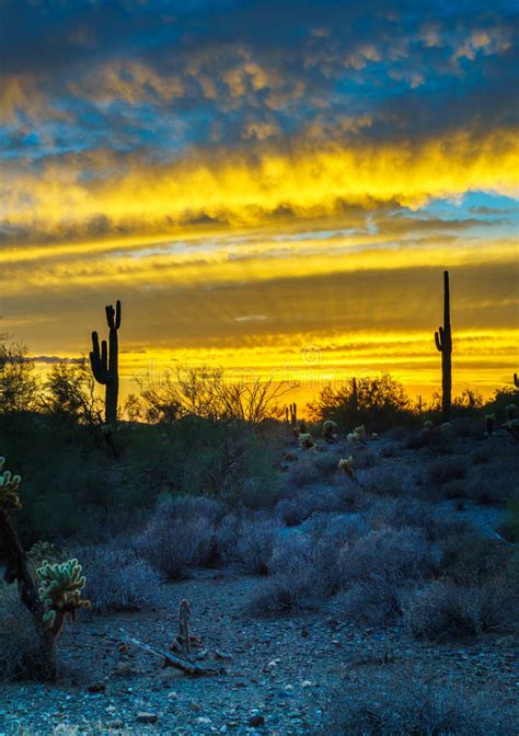 Getting that gorgeous sunny shot right before the sun falls behind the mountain! Sunset Over Phoenix Desert Landscape Stock Image - Image of desert, arizona: 135458667