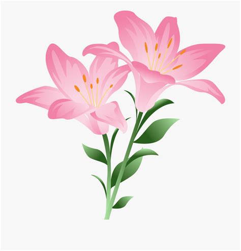 Free Easter Lilies Clipart Download Free Easter Lilies Clipart Png Images Free Cliparts On