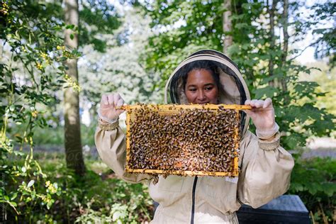 Female Beekeeper Checking Her Bee Hive For Bees And Honey By Stocksy