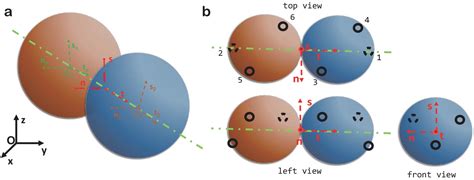 Mechanics And Kinetics Of Dynamic Instability Elife