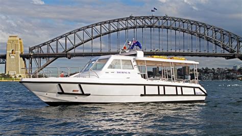 Popular Passenger Boat 29 Persons Capacity Touring 36