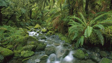 New Zealand Beautiful Places To Visit National Parks Temperate