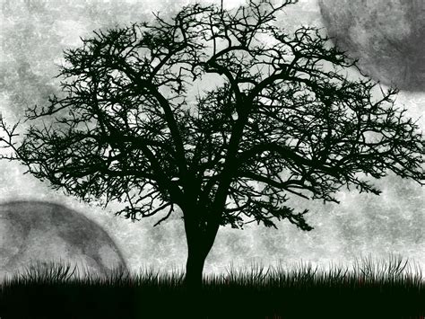 The Dark Tree Drawing By Deceasedblade