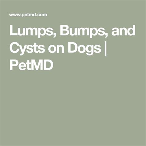 Lumps Bumps And Cysts On Dogs Artofit