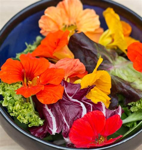 Dandelions are the perfect edible flower because you can eat the whole thing from the root to the flower. List of Edible Flowers