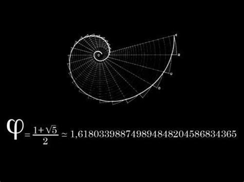 Perfect Fibonacci Spiral Fibonacci Geometry