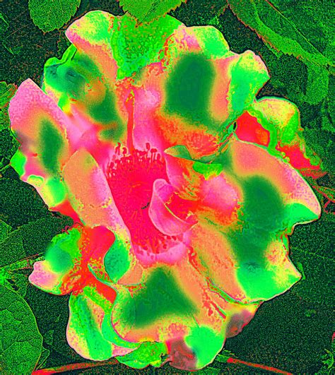 Psychedelic Flower Digital Art By Aia Ranguelova Fine Art America