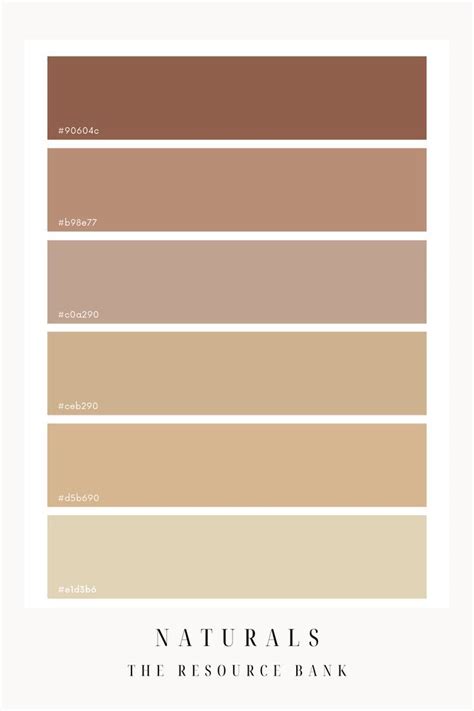 Natural Nude Colour Palette Earth Colour Palette Tan Color Palette