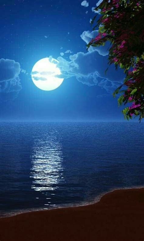 idea by mihir roy on beautiful picture beautiful moon beach landscape moon pictures