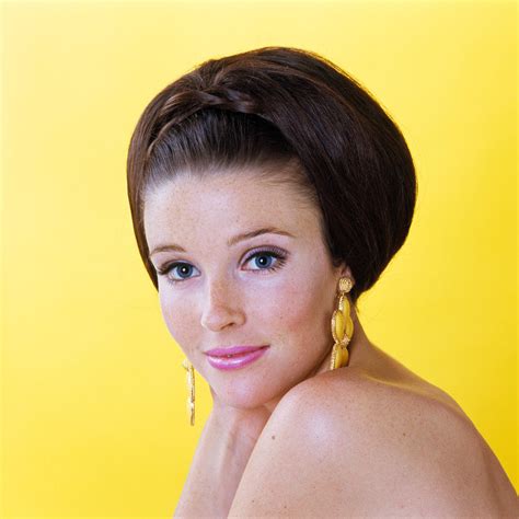 1960s Glamorous Young Woman Brunette Big Hair Teased Bouffant Hairstyle