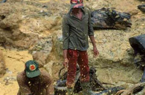 Gold Mining Sediment Threatens Fish And People Anthropocene