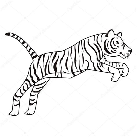 Libro Para Colorear Tigre Tigre Blanco Y Negro Sobre Fondo Blanco