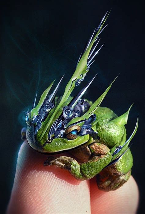 Eye Popping Pics Of Cyborg Animals From Photoshop Contest