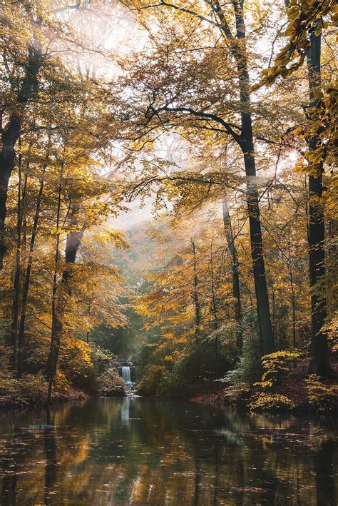 River Forest Trees Landscape Autumn Hd Phone Wallpaper Peakpx
