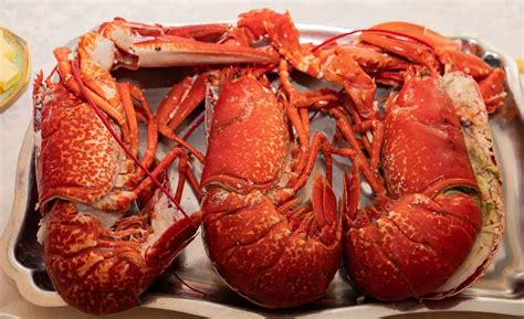 25 Wondering Facts About Lobsters For Kids