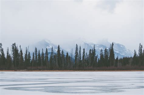 Tree Line In The Horizon Across The Frozen Lake In Banff National Park