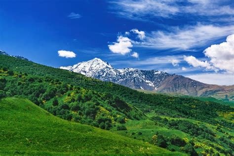Beautiful View Of Alpine Meadows In The Caucasus Mountains Pastures