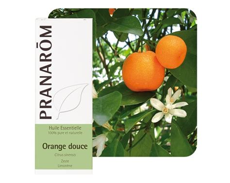 Huiles Essentielles Orange Douce Citrus Sinensis Pranarôm