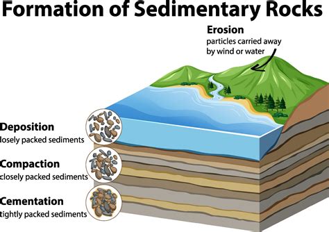 Formation Of Sedimentary Rocks 3426736 Vector Art At Vecteezy