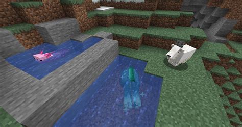 Minecraft Caves And Cliffs Axolotl