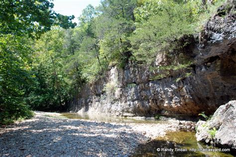 It is the county seat of boone county and home to the university of missouri. The Unknown Turn | Nadia's Backyard