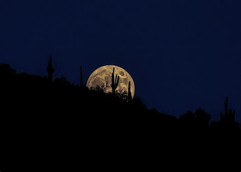 Sonoran Desert Saguaro Full Moon Photograph By Jeremy Johnson Fine