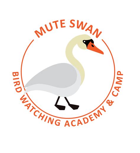 Mute Swan Bird Watching Academy