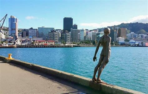 35 Best Cheap And Free Things To Do In Wellington From A Local Migrating Miss