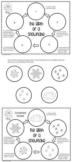 Snow Unit All About Snow And The Snowflake Life Cycle Winter Lesson