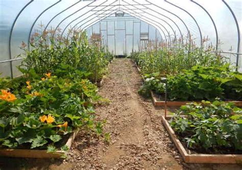 Look Over These Ideas For Building Your Own High Tunnel Greenhouse So