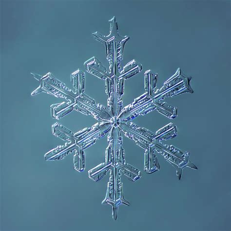 Stellar Dendrite Snowflake 0012162014 Digital Art By Print