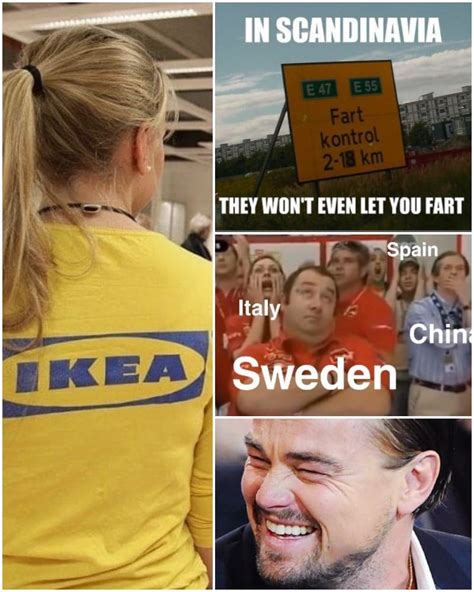 the reality of living in sweden as told in memes