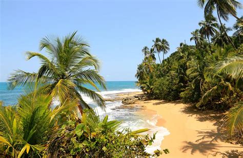 Atv Southern Beaches Tour Tour Guanacaste Bringing Costa Rica To