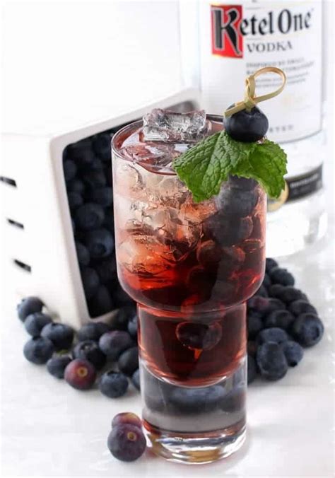 Blueberry Vodka Cooler The Best Low Carb Vodka Drink Recipe