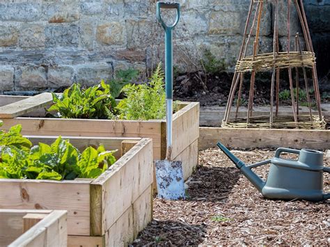 How To Build Raised Beds Cultivation Street